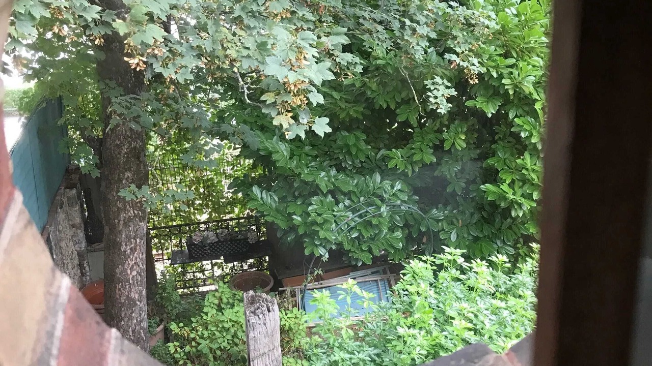 Photo of Outdoor in Saint-Cloud