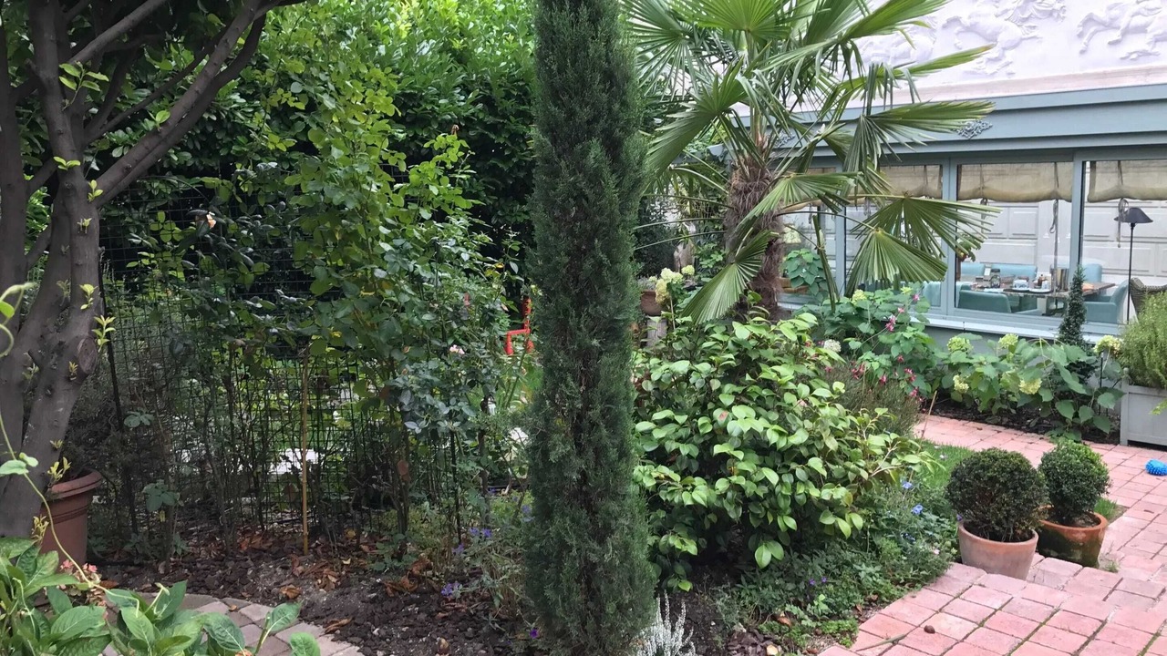 Photo of Outdoor in Saint-Cloud