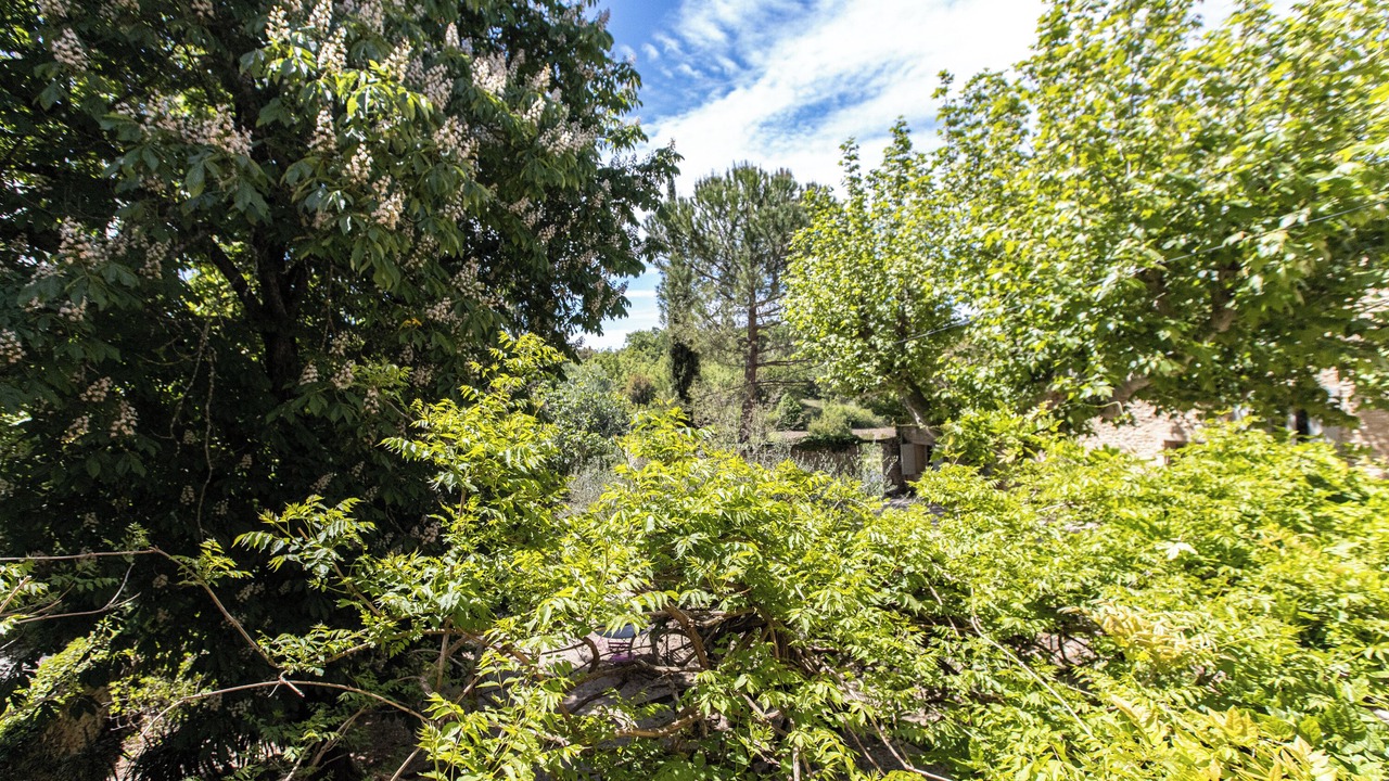 Photo of Outdoor in Malaucene