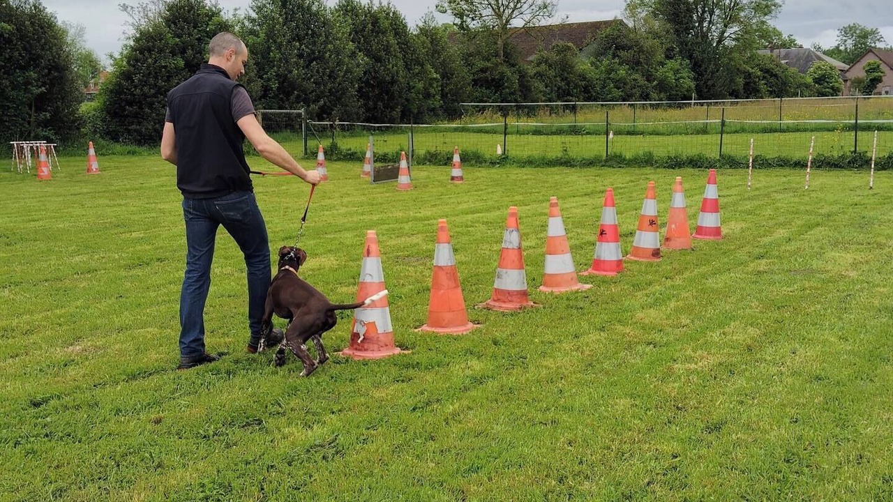 Photo of Others in Moyenneville