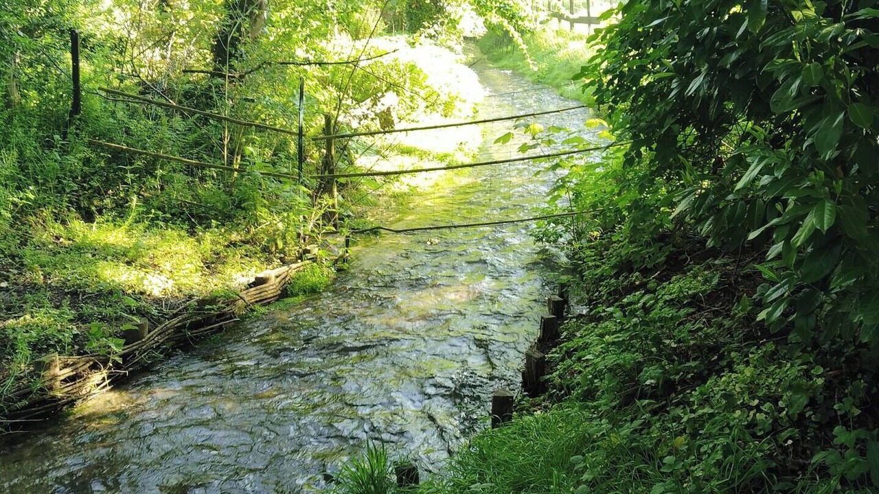 Photo of Outdoor in Moyenneville