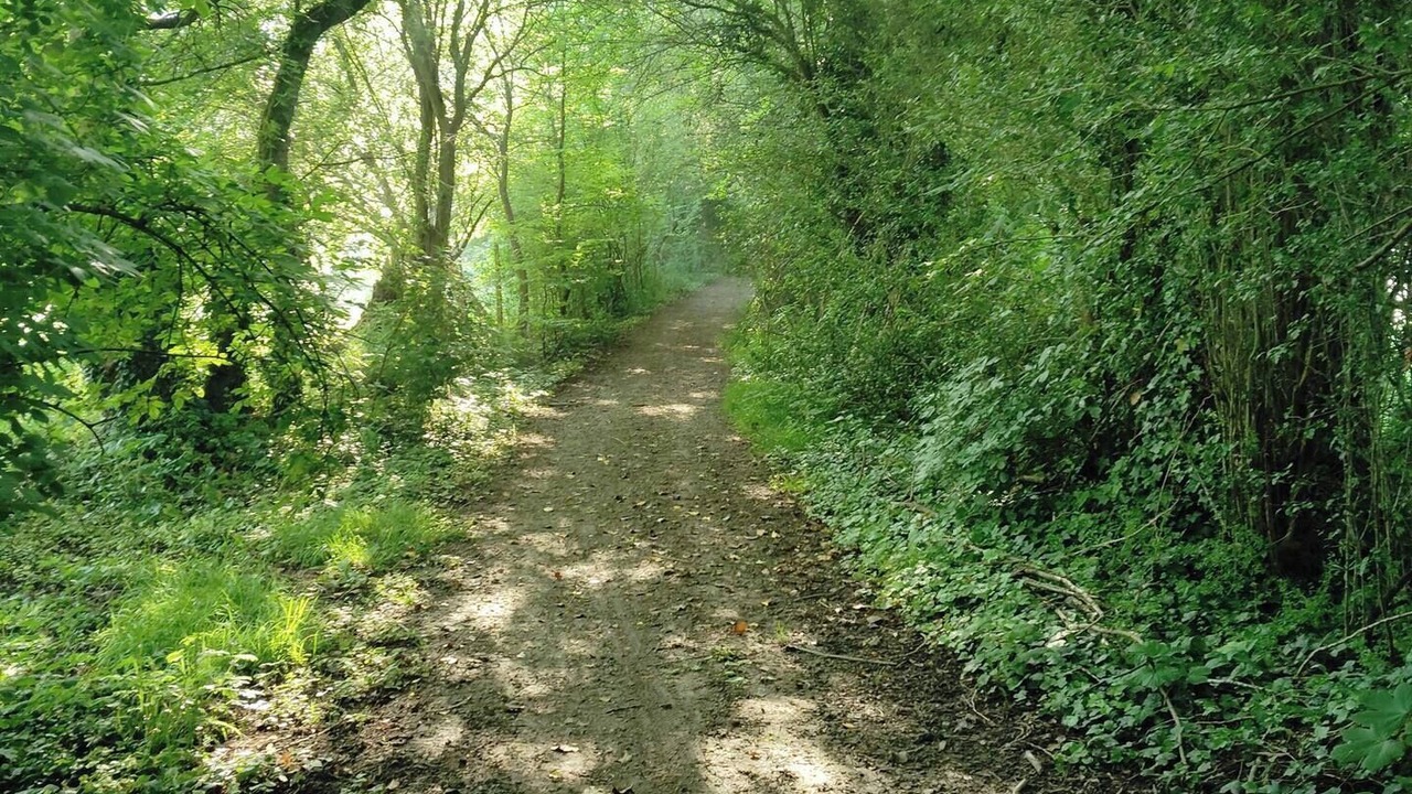 Photo of Outdoor in Moyenneville