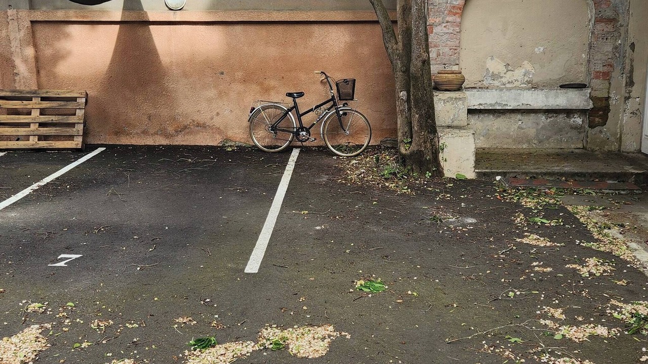 Photo of Outdoor in Toulouse City-Centre