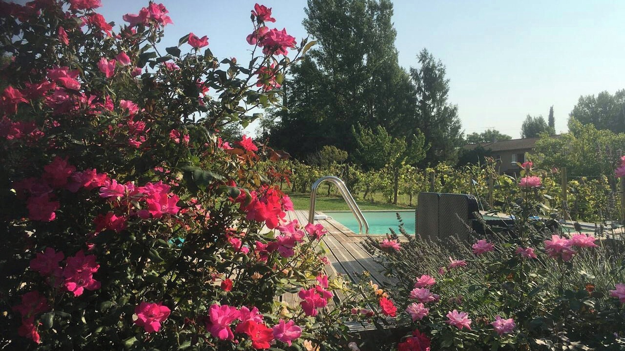 Photo of Outdoor in Montgaillard
