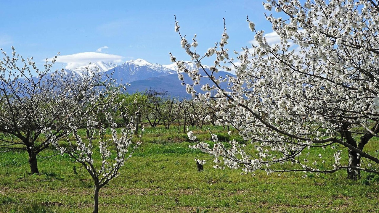 Photo of Outdoor in Ceret