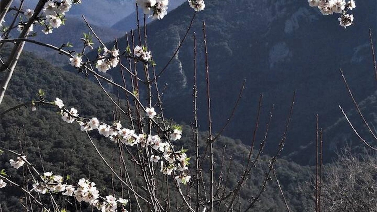 Photo of Outdoor in Ceret