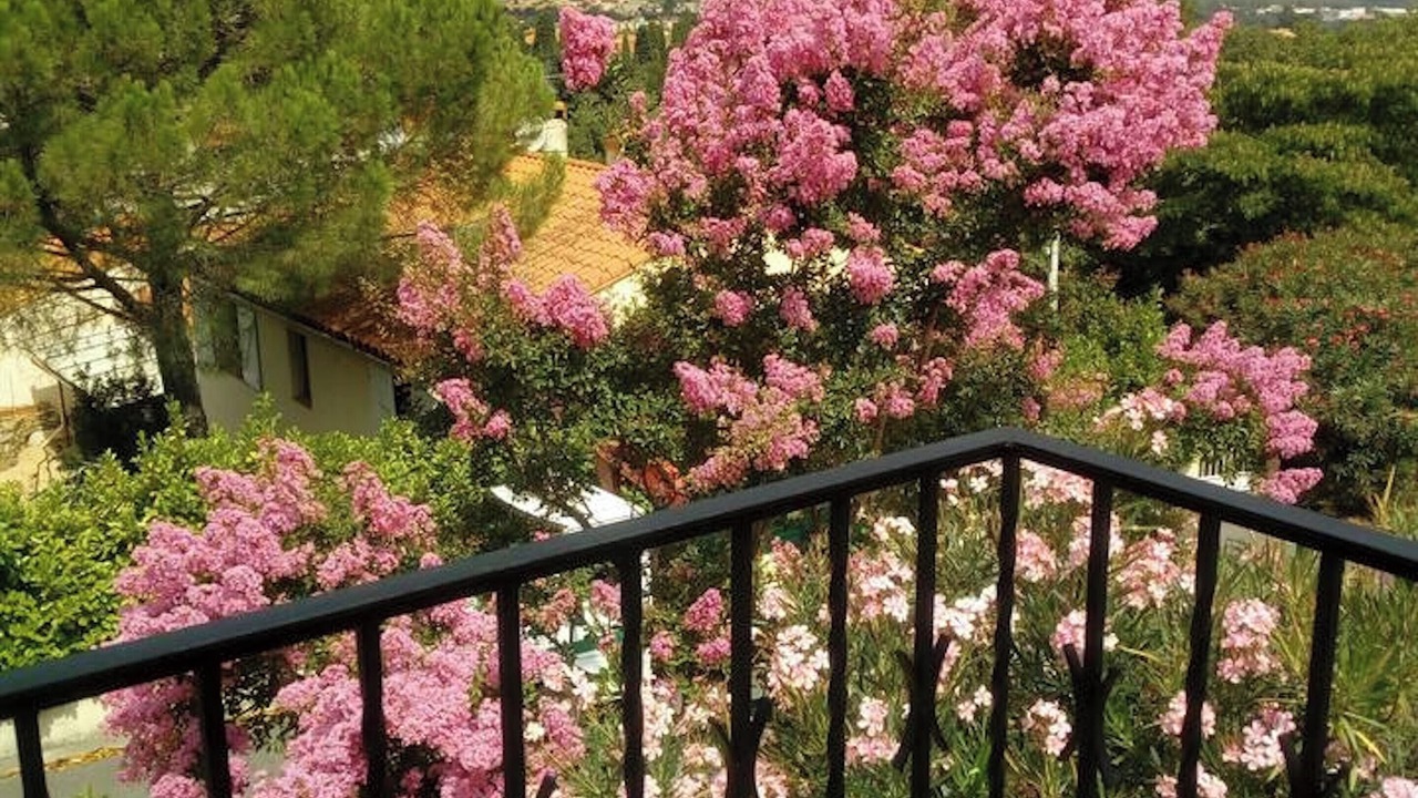 Photo of Outdoor in Ceret