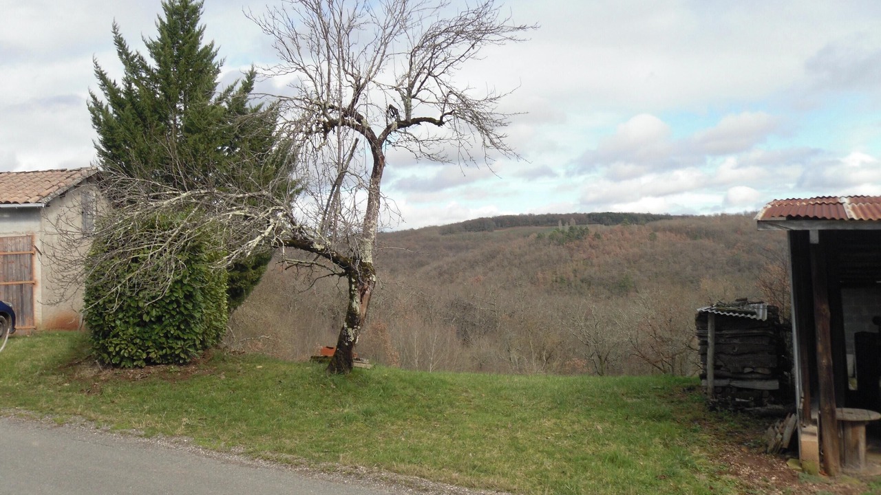 Photo of Outdoor in Puycelci