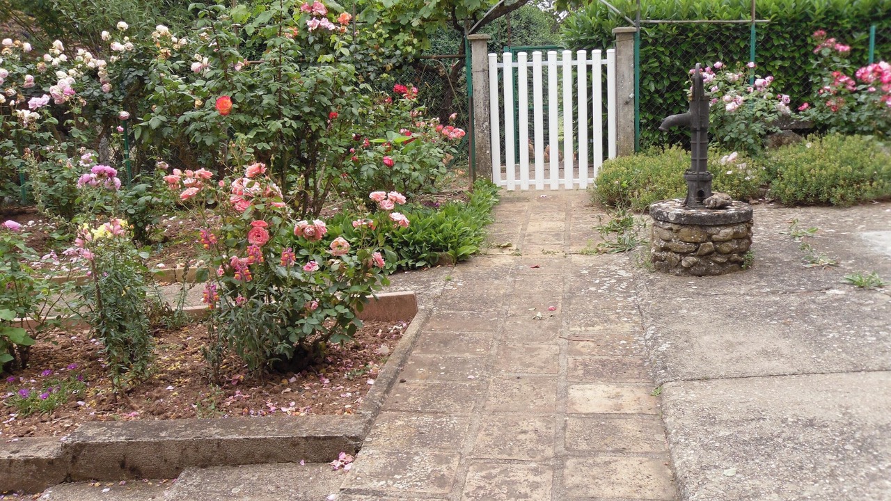 Photo of Outdoor in Puycelci