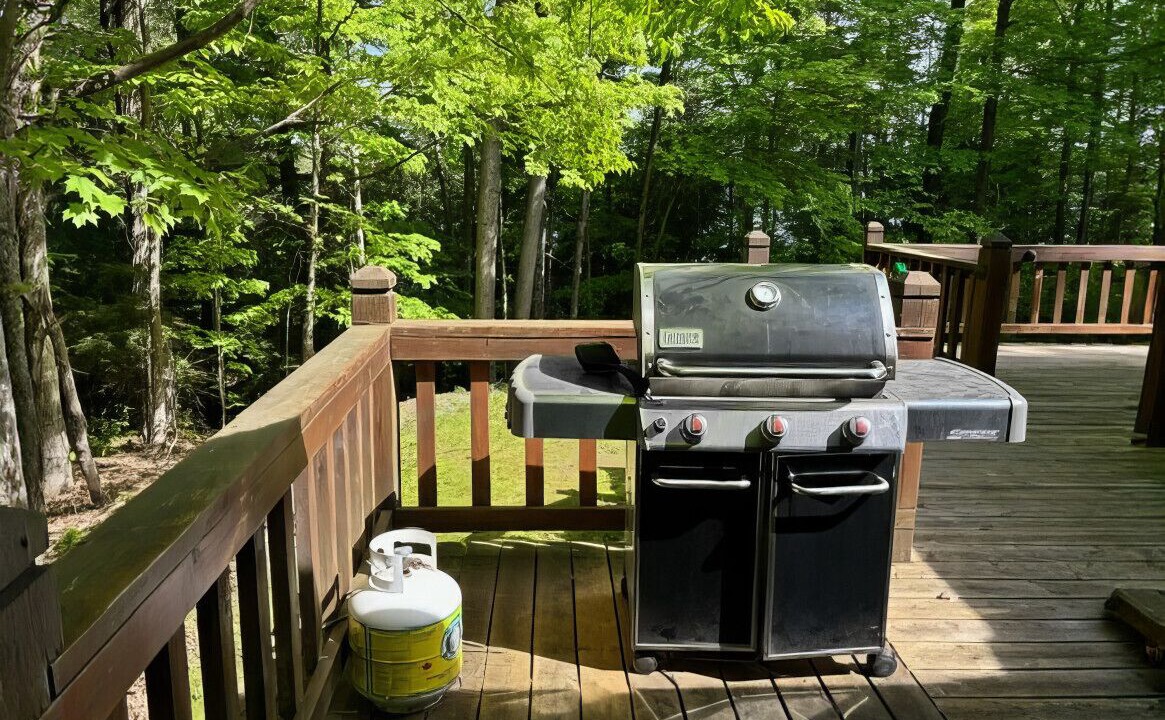 Photo of Outdoor in North Kawartha