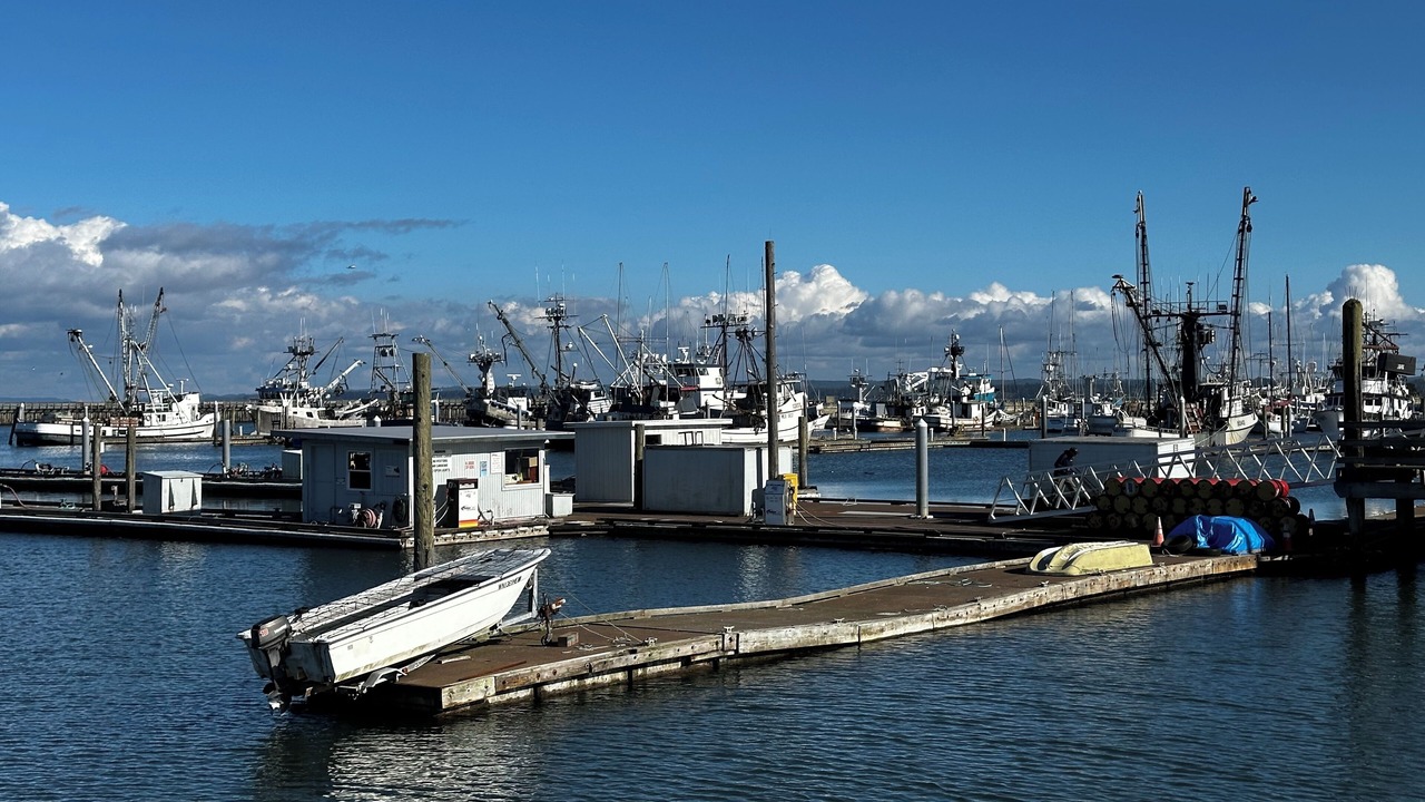 Photo of Others in Westport