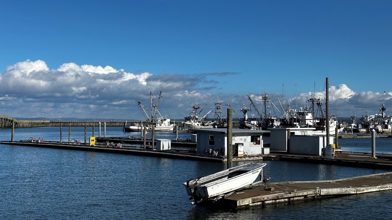 Photo of Others in Westport