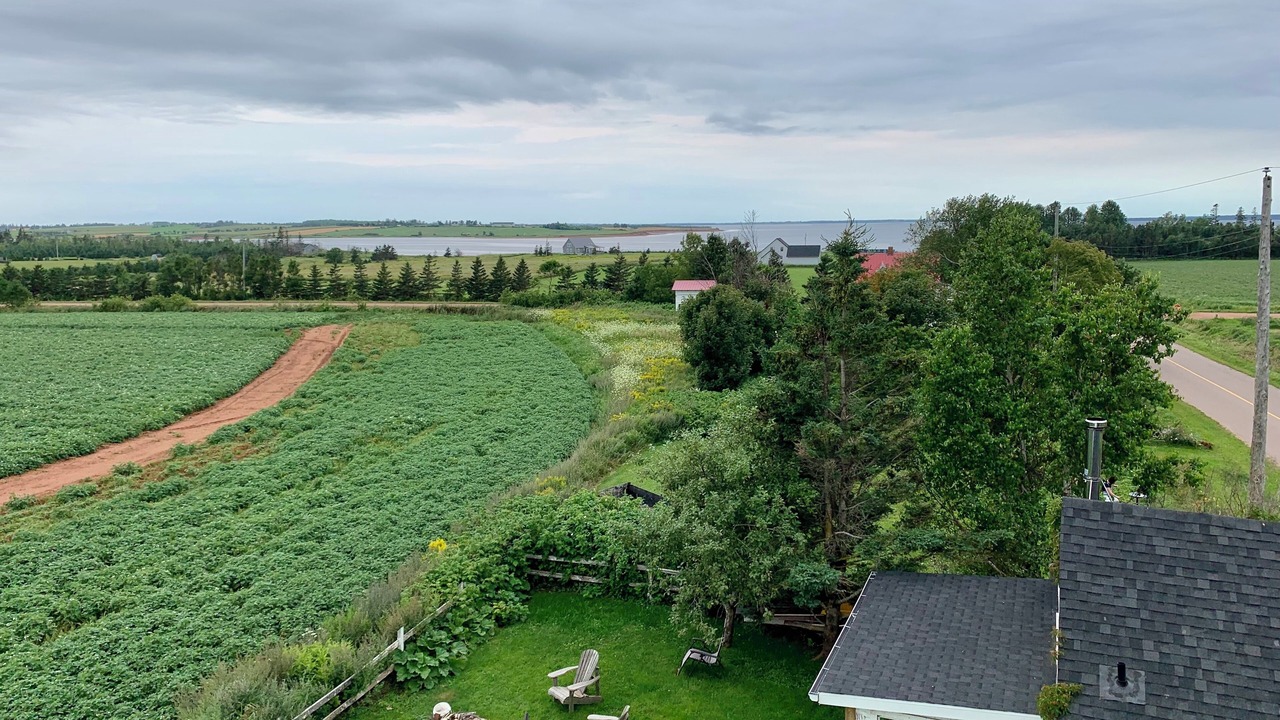 Photo of Others in Malpeque