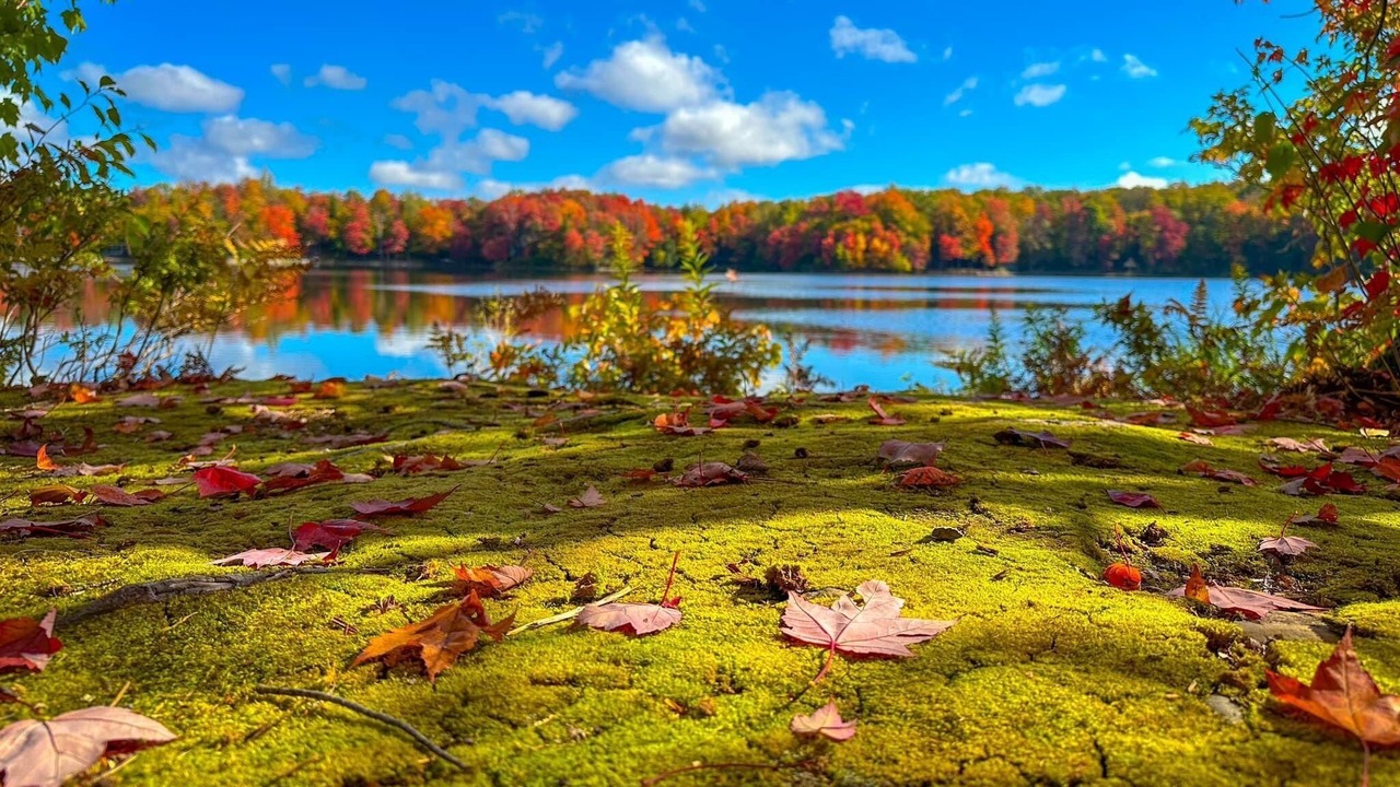 Photo of Outdoor in Bliss