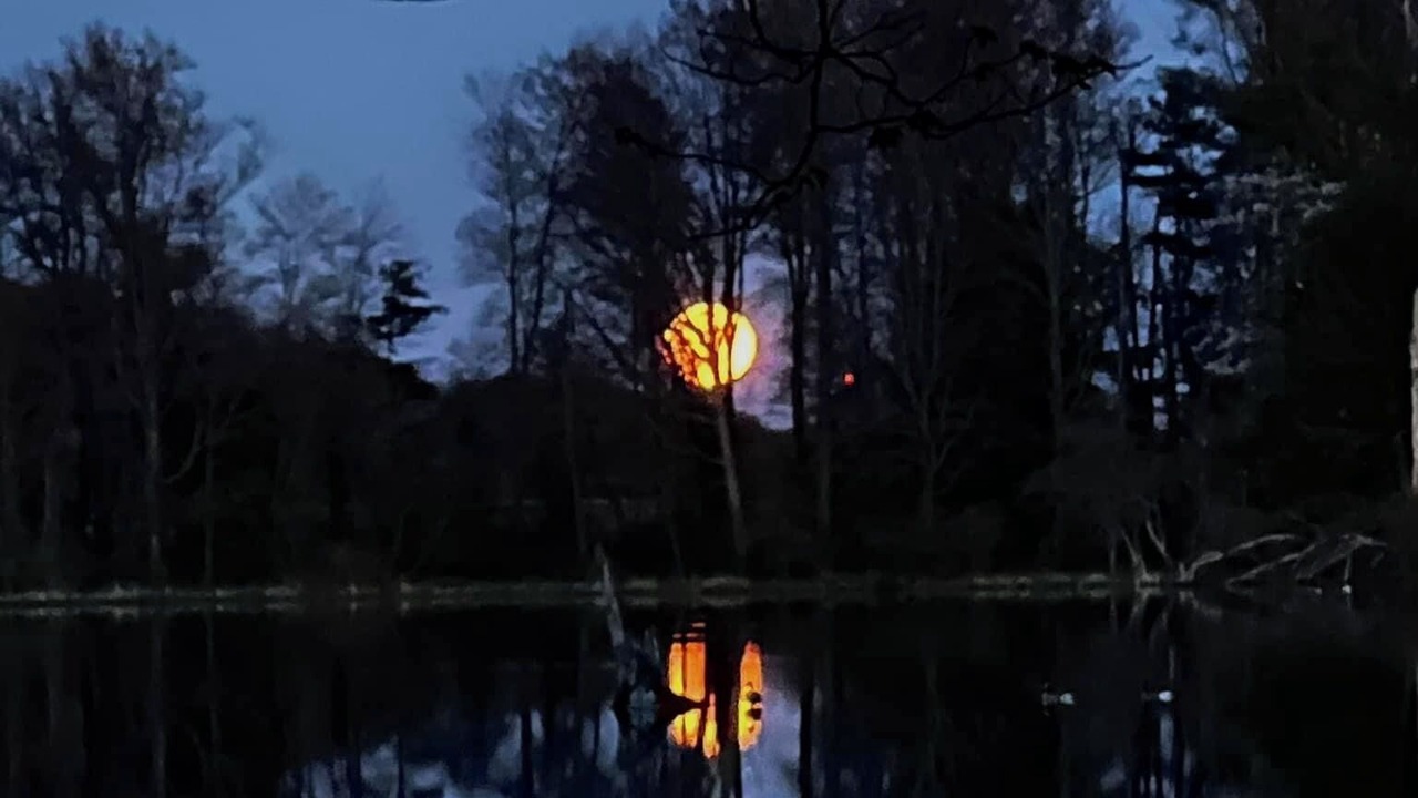 Photo of Others in Bliss