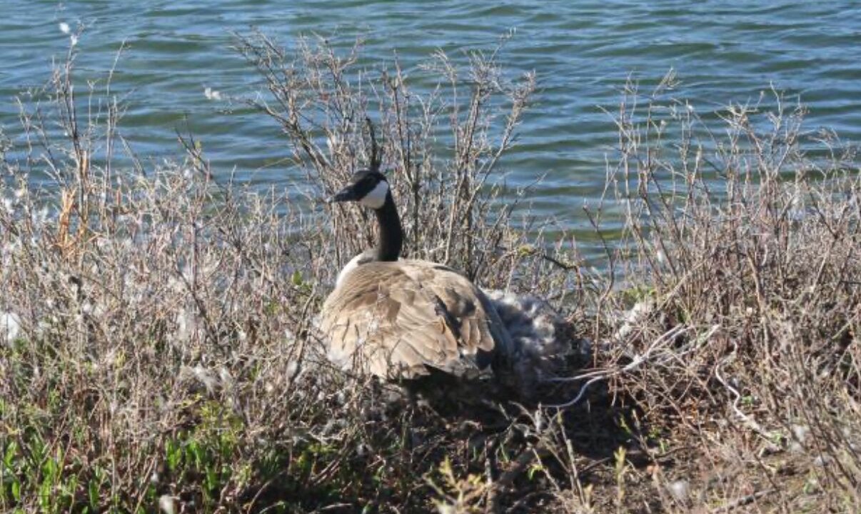 Photo of Others in Bliss