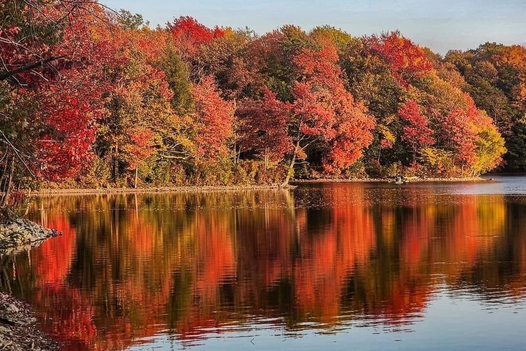 Photo of Others in Bliss