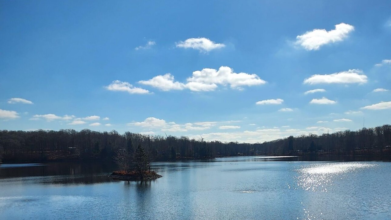 Photo of Others in Bliss