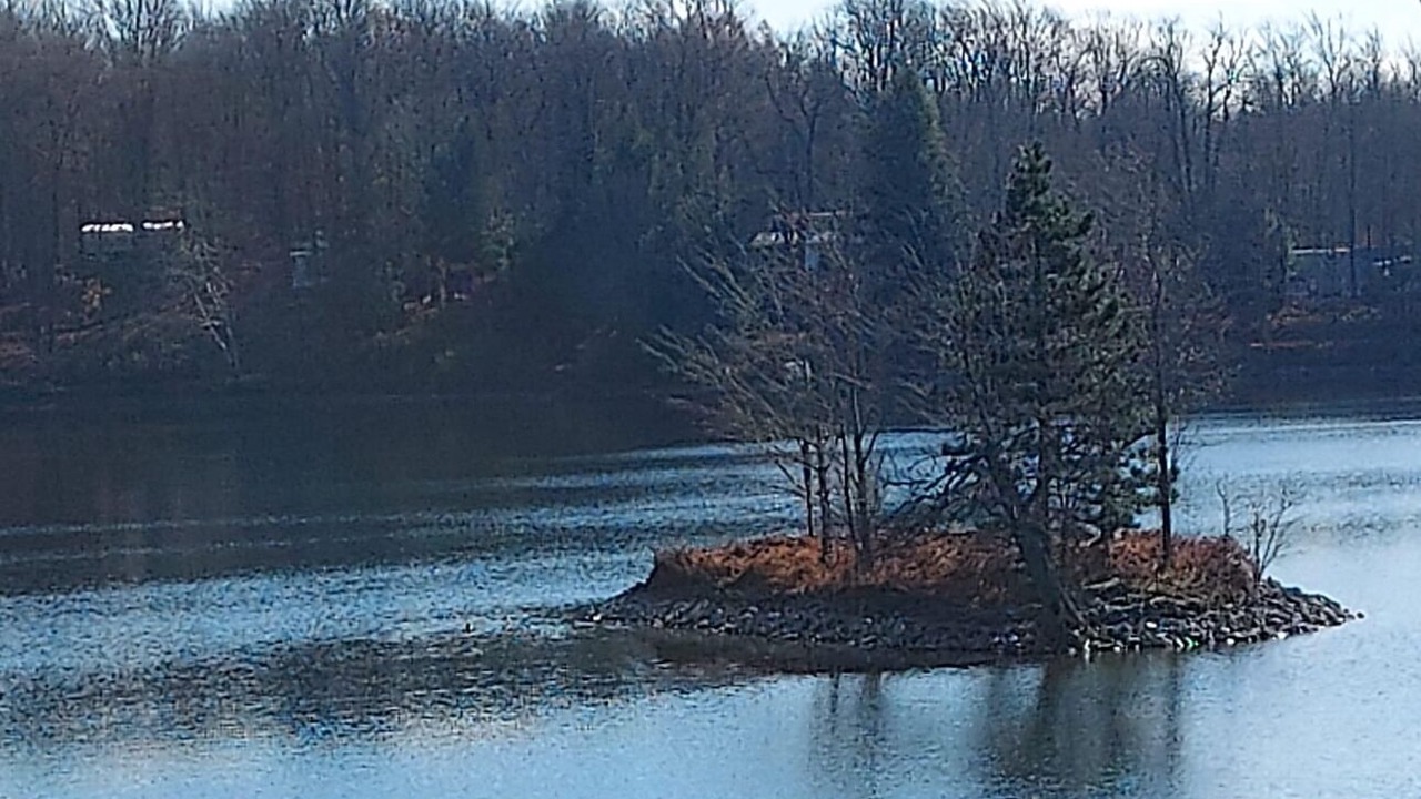 Photo of Outdoor in Bliss