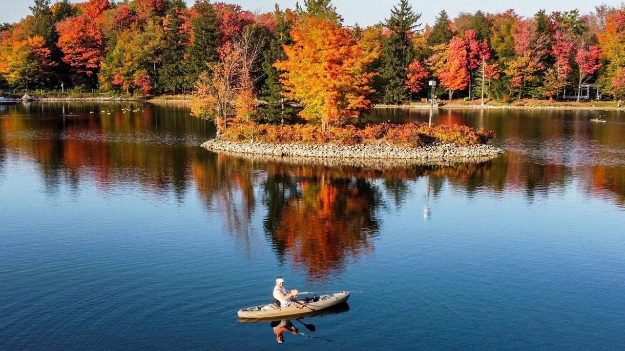 Photo of Others in Bliss