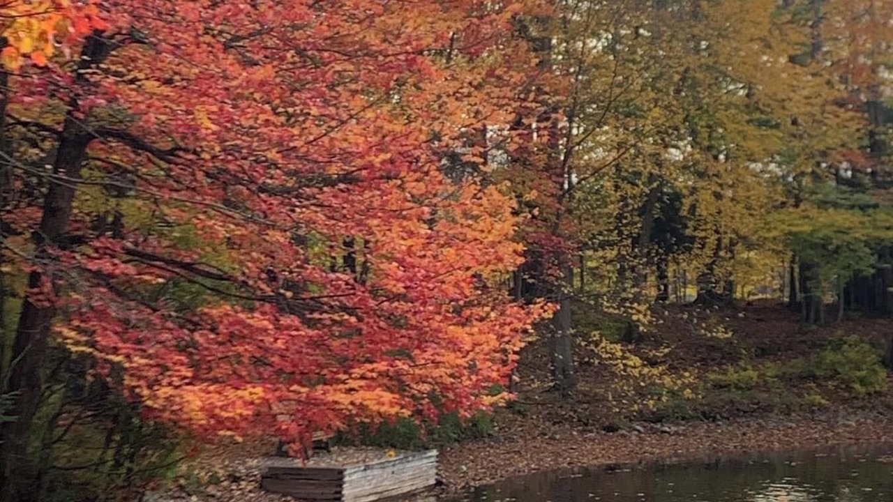 Photo of Others in Bliss