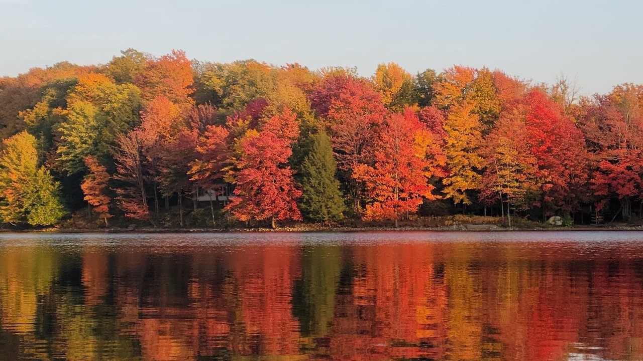 Photo of Others in Bliss