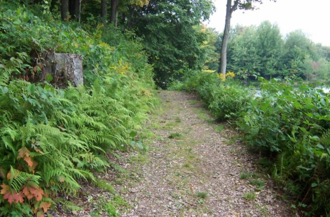 Photo of Outdoor in Bliss