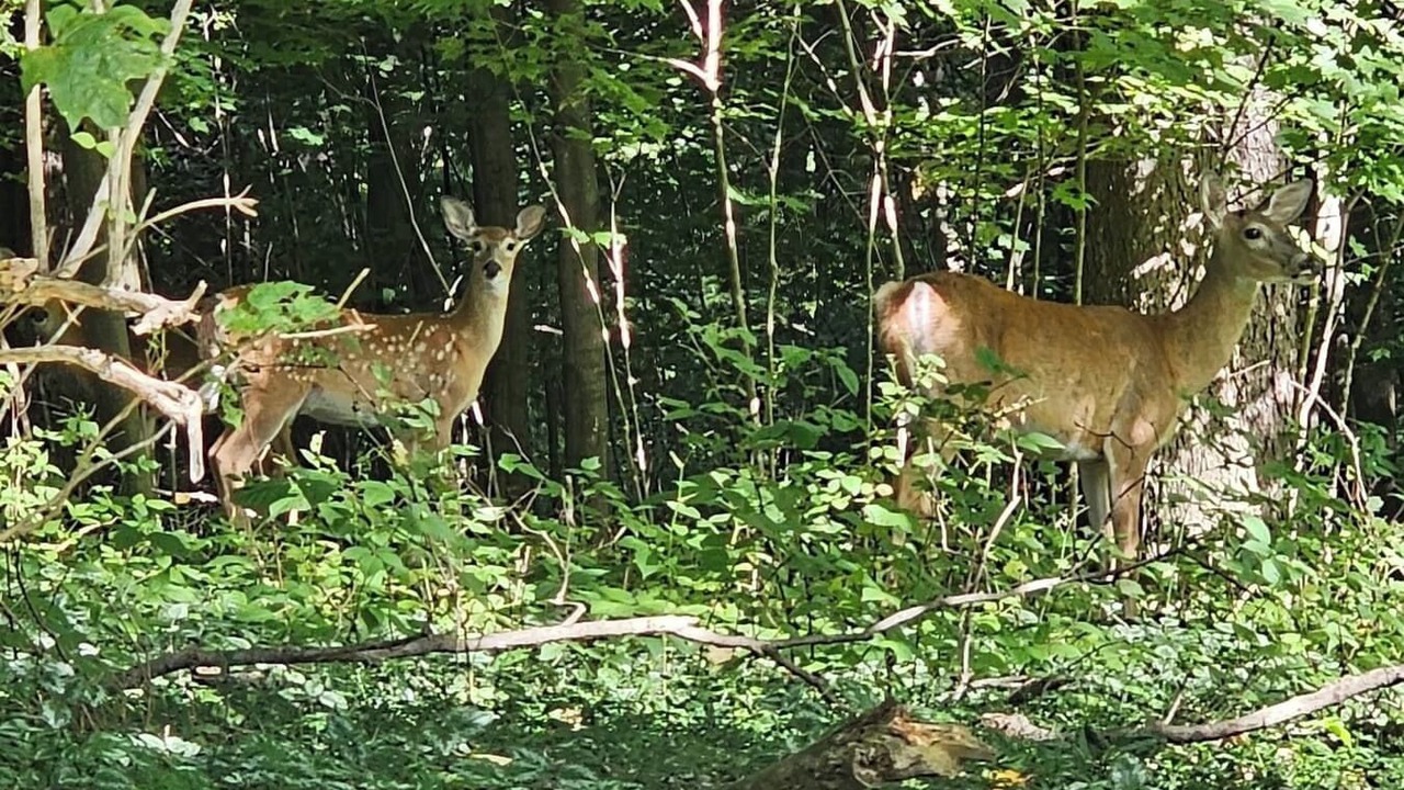 Photo of Outdoor in Bliss