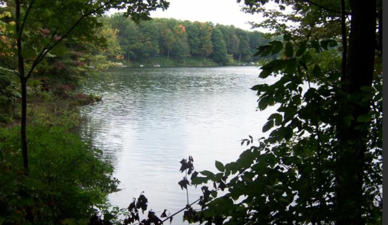 Photo of Others in Bliss