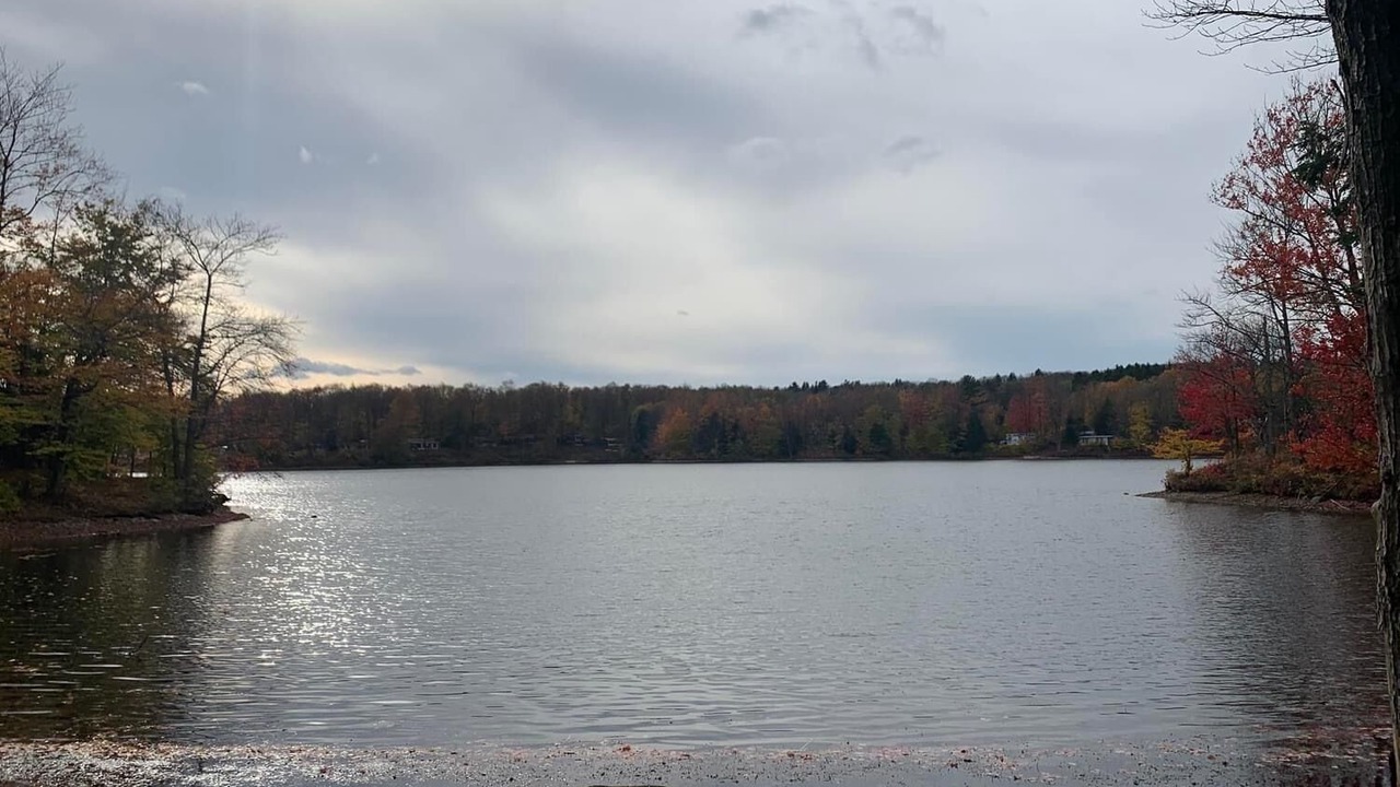 Photo of Others in Bliss