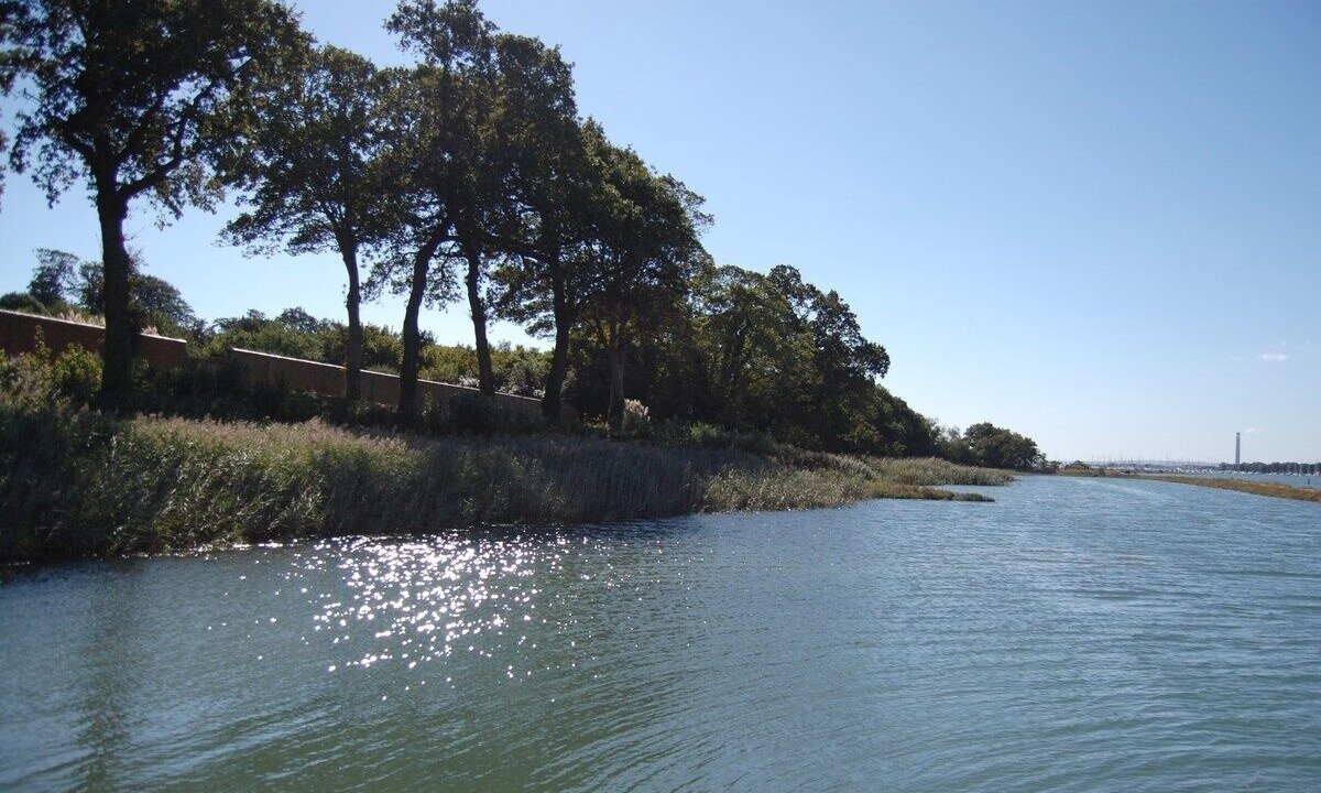 Photo of Others in Netley