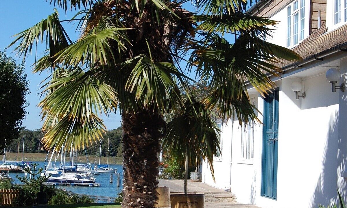 Photo of Outdoor in Netley