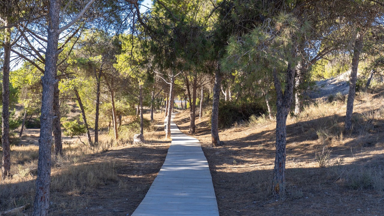 Photo of Outdoor in Lomas