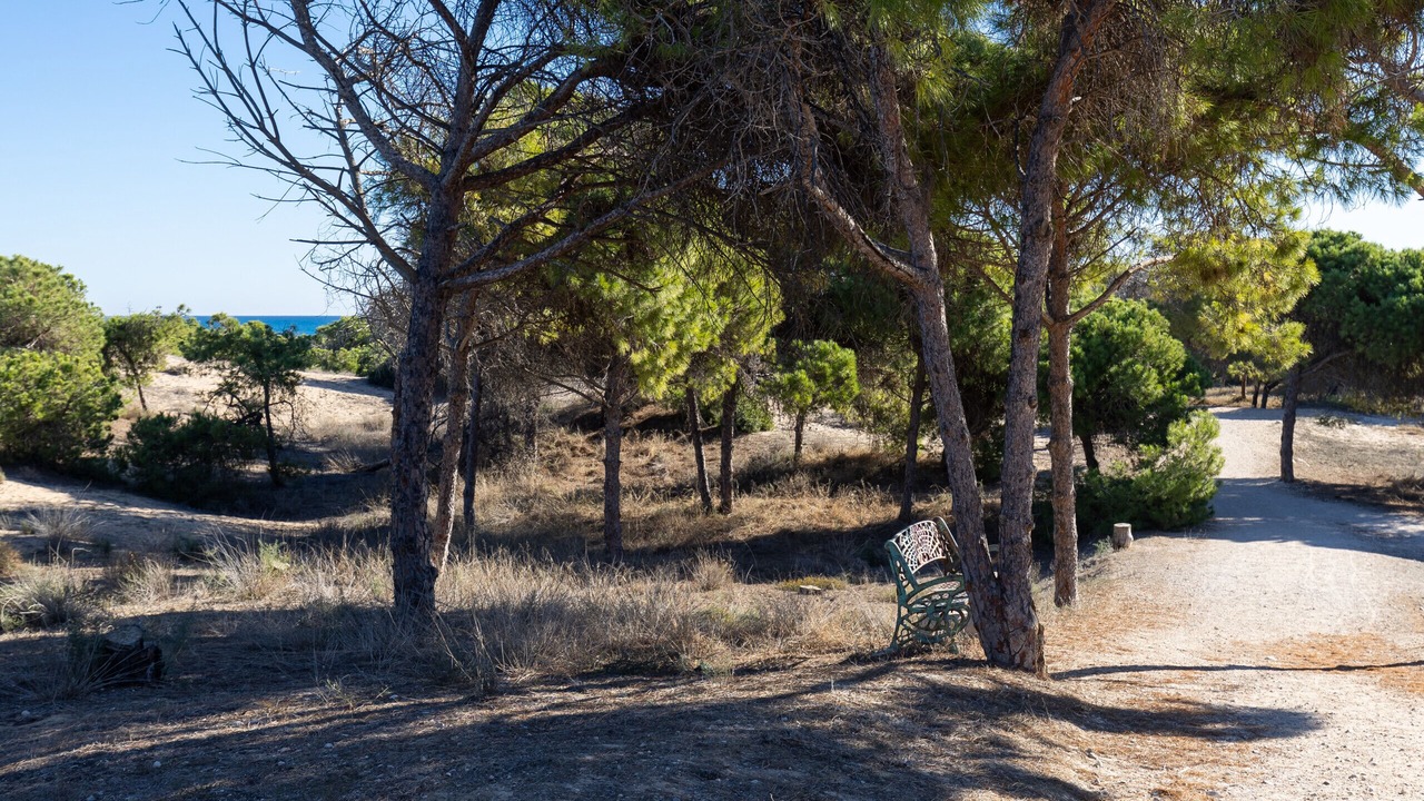 Photo of Outdoor in Lomas