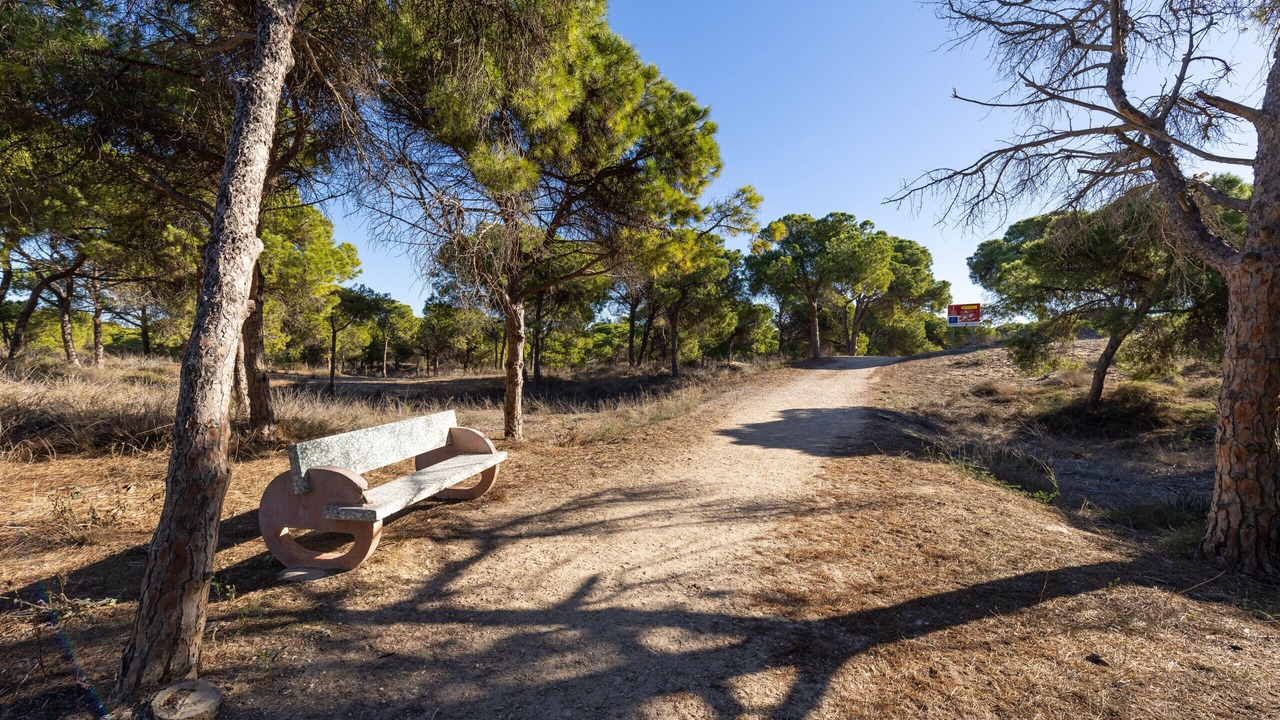 Photo of Outdoor in Lomas