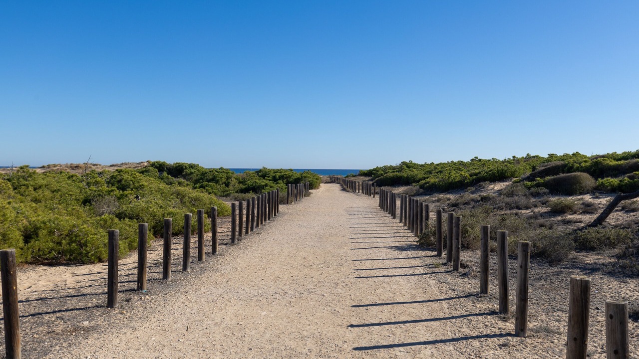 Photo of Outdoor in Lomas