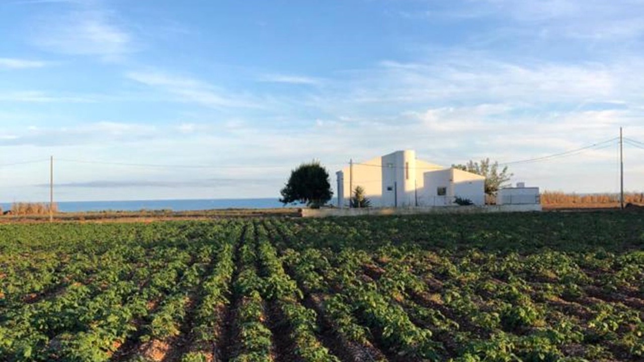 Photo of Outdoor in Benicarlo