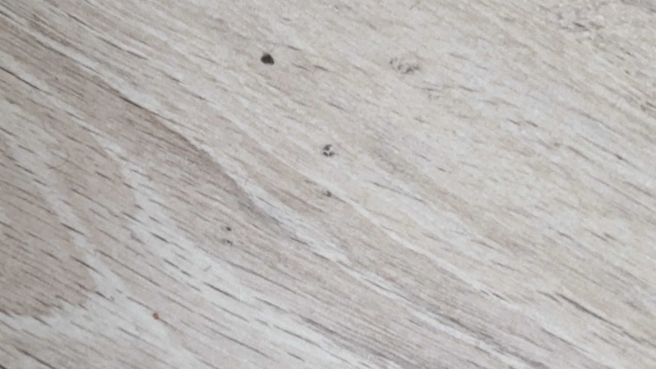 Photo of Others in Jaunay-Clan