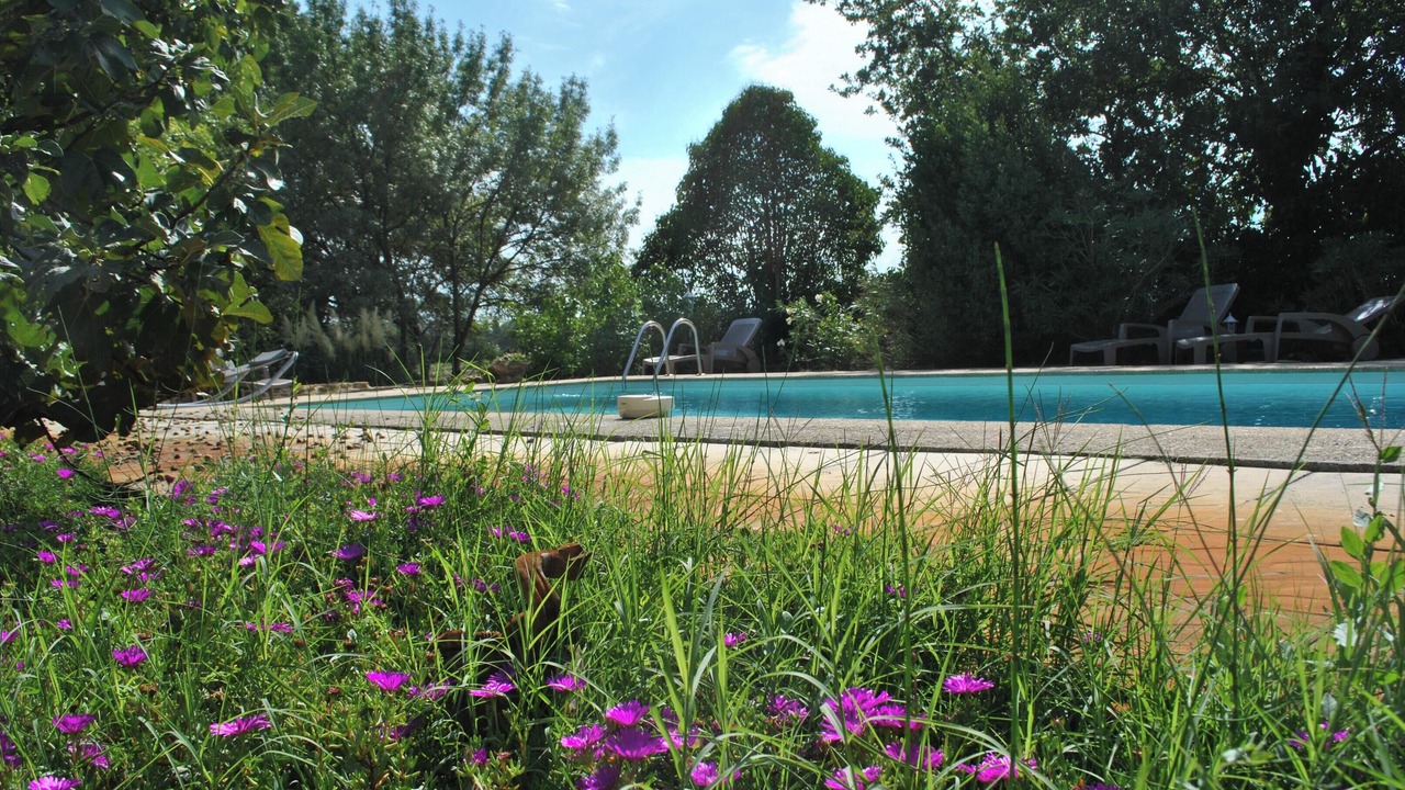 Photo of Outdoor in Piolenc