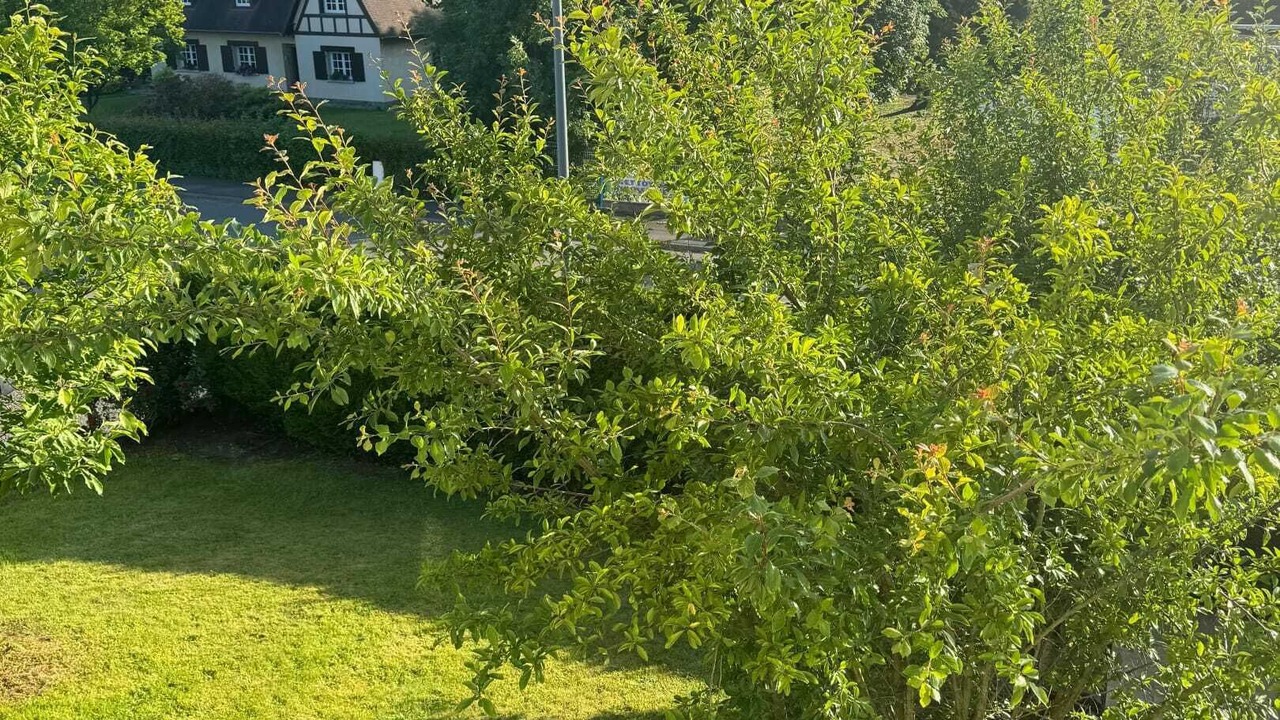 Photo of Outdoor in Saint-Georges-des-Groseillers