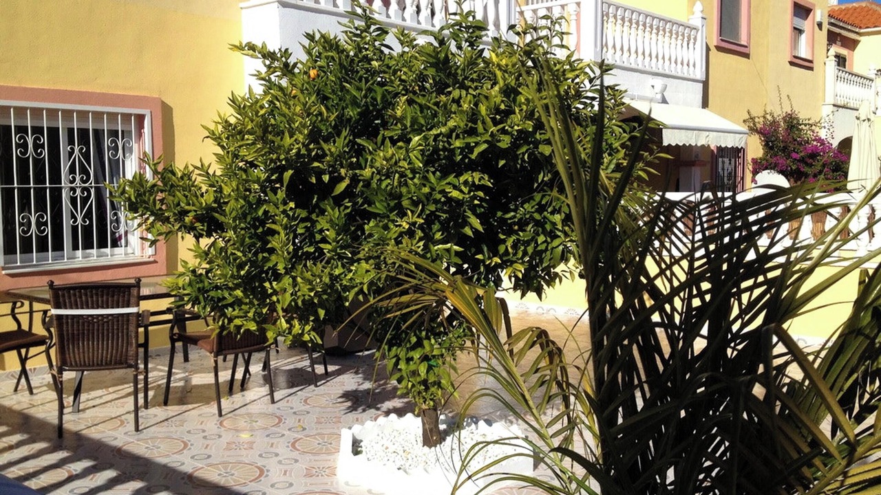 Photo of Outdoor in La Siesta