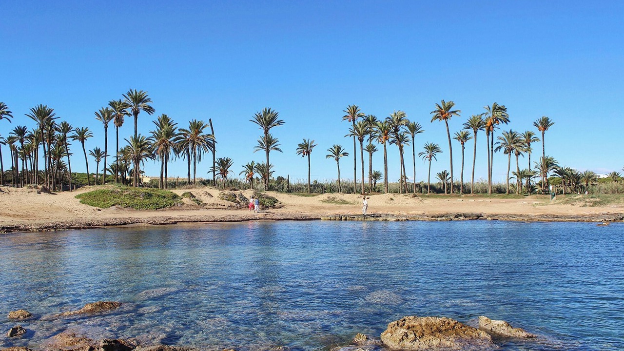 Photo of Others in La Siesta