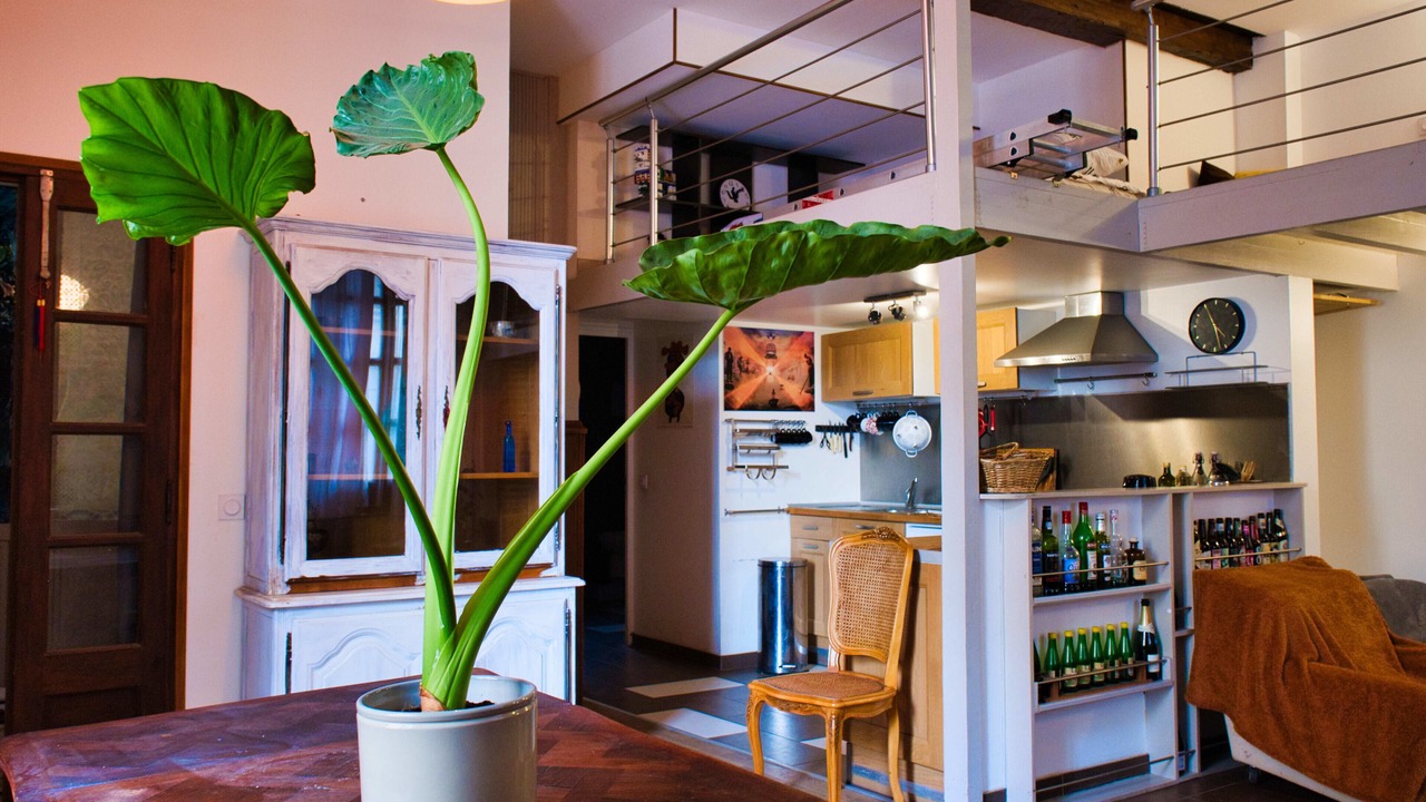 Photo of Others in La Gare