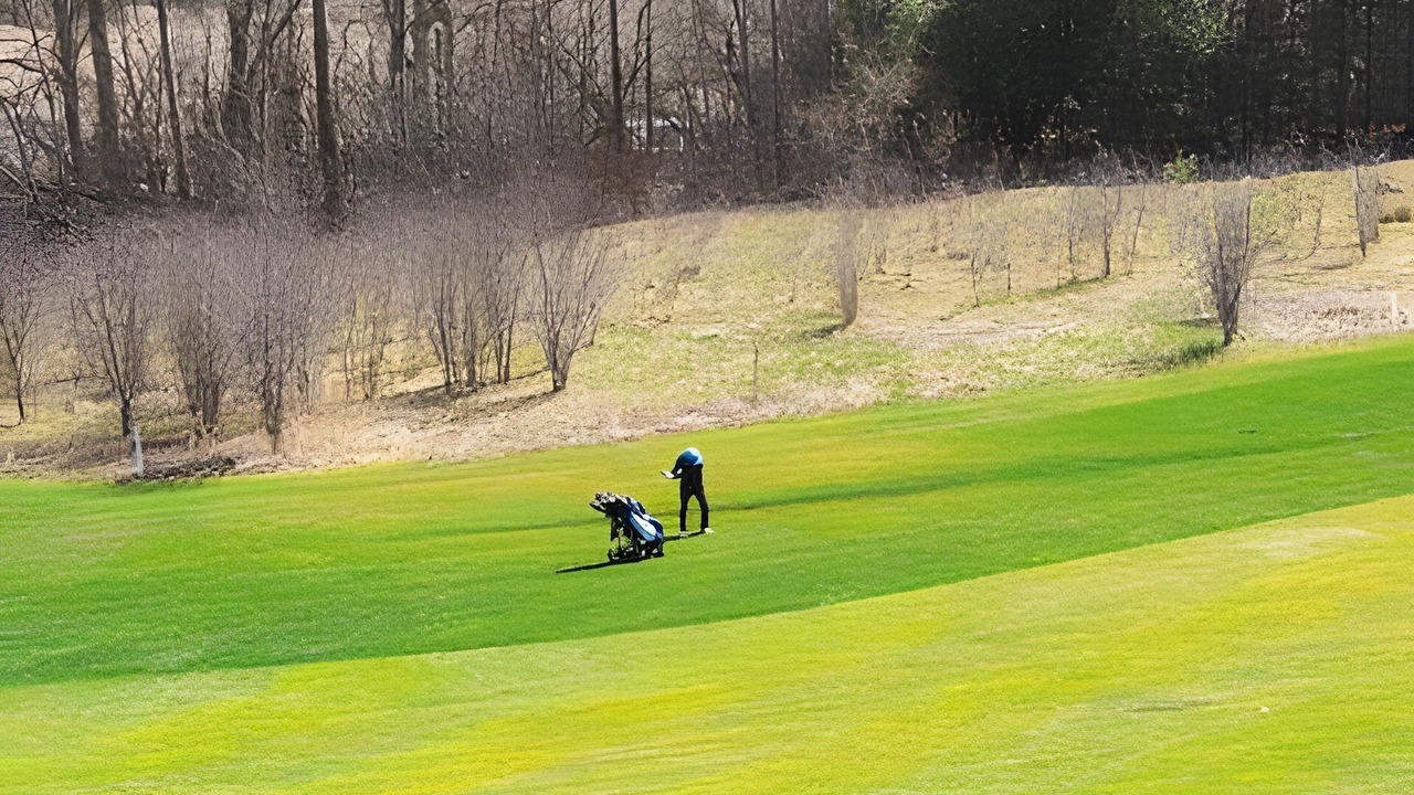 Photo of Others in Richmond Hill