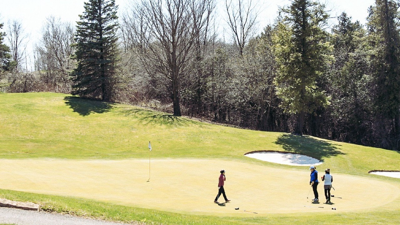 Photo of Others in Richmond Hill