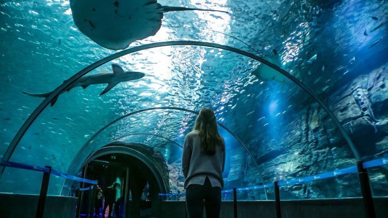 Photo of Outdoor in Marquise