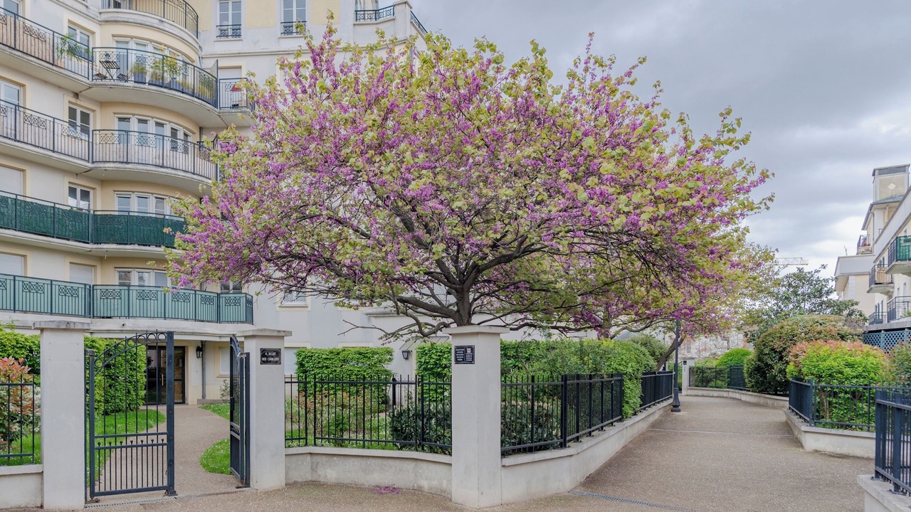 Photo of Outdoor in Maisons-Alfort