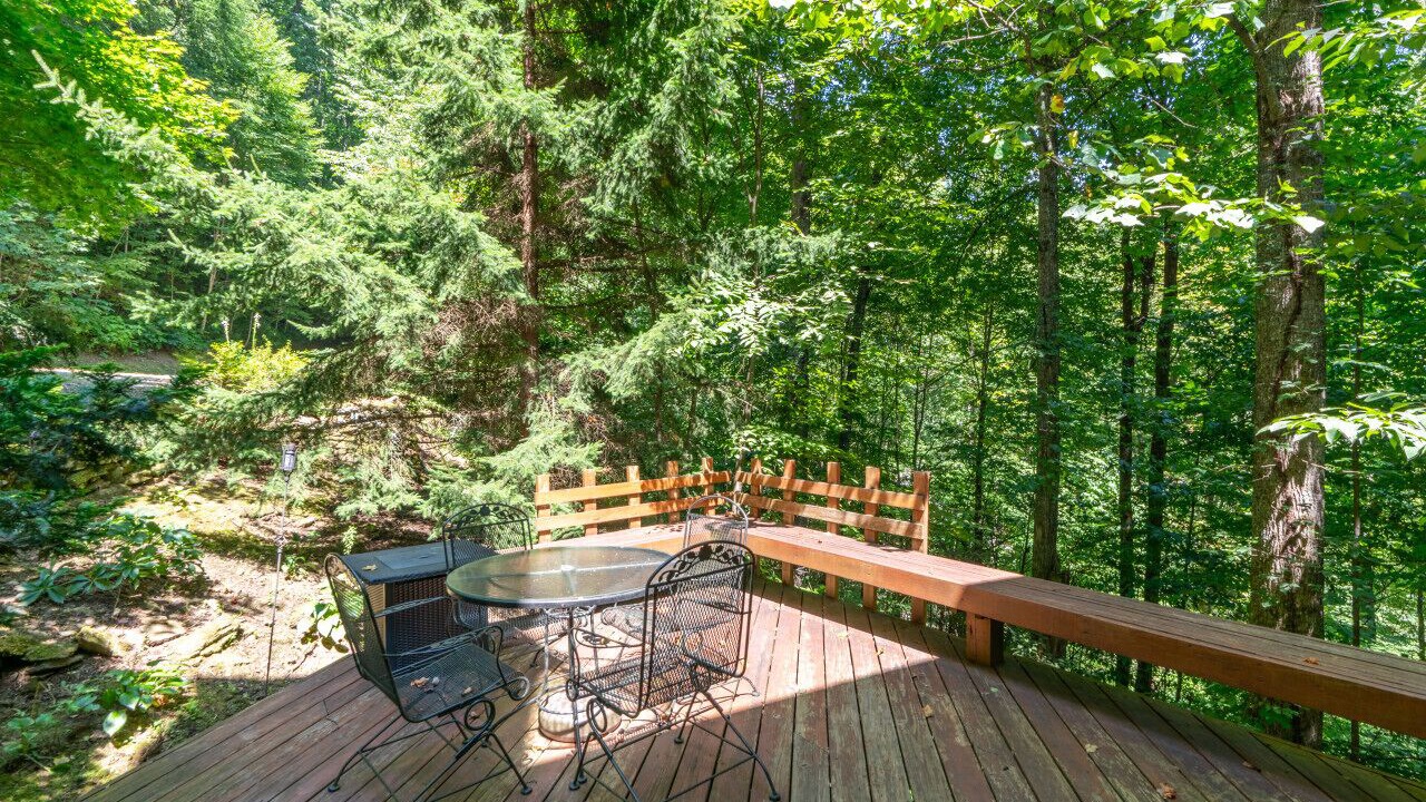 Photo of Outdoor in Sylva