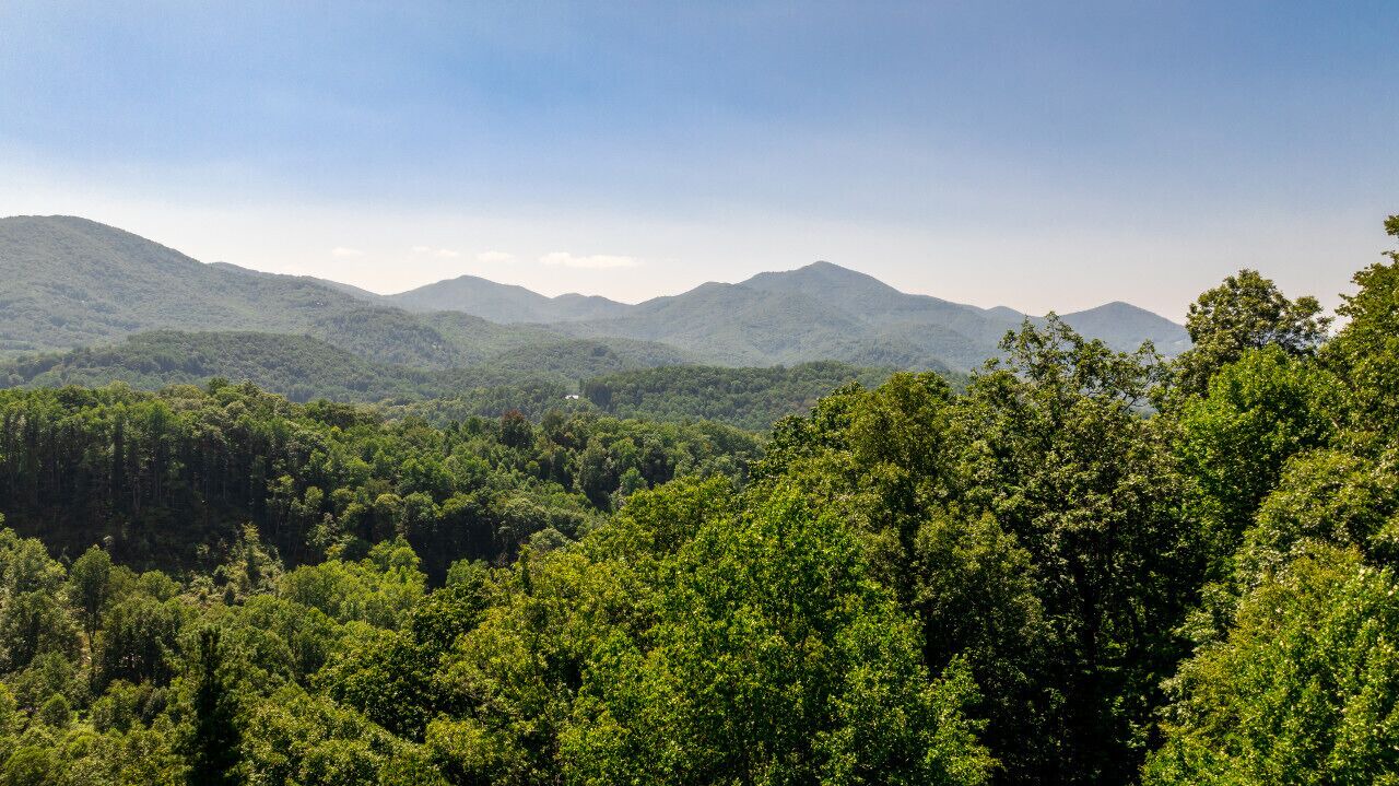 Photo of Others in Sylva