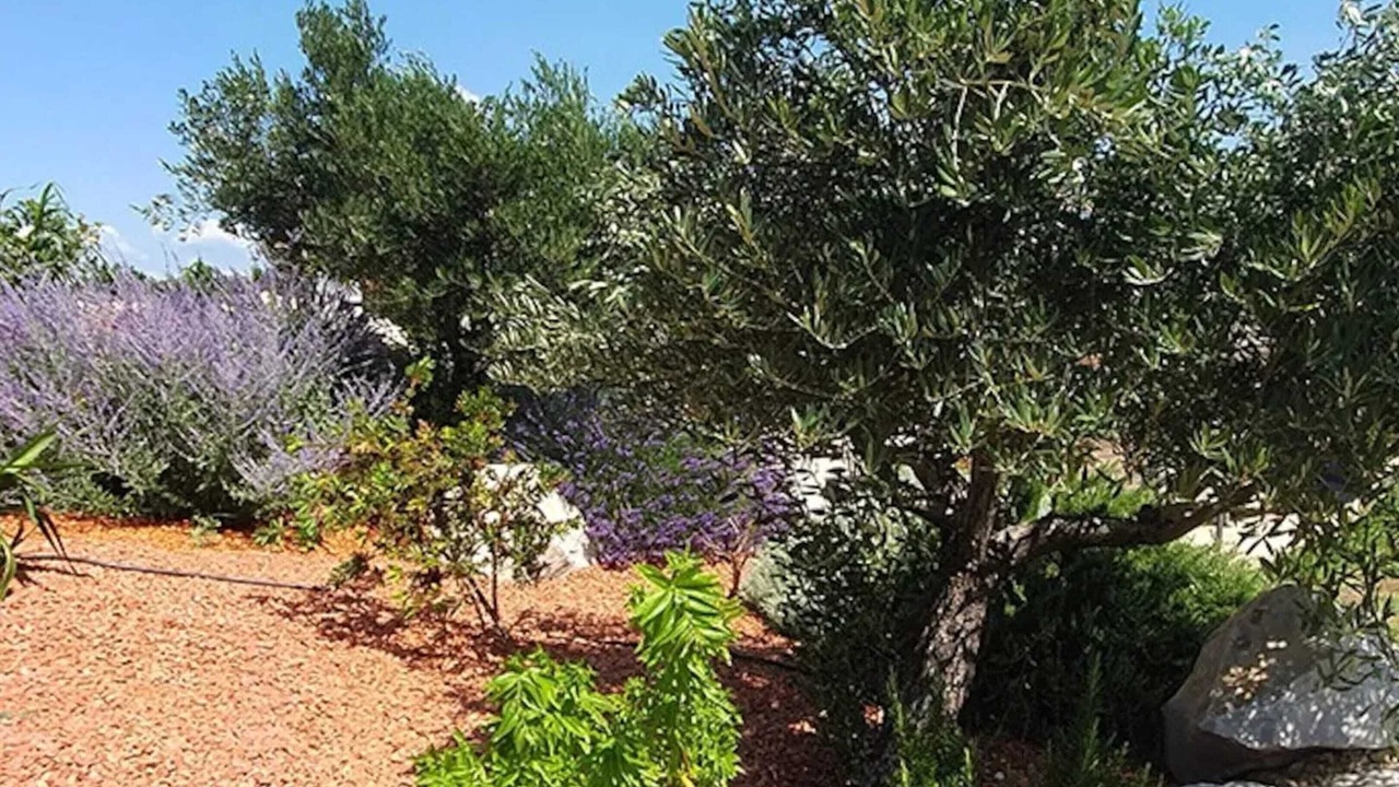 Photo of Outdoor in Rochegude